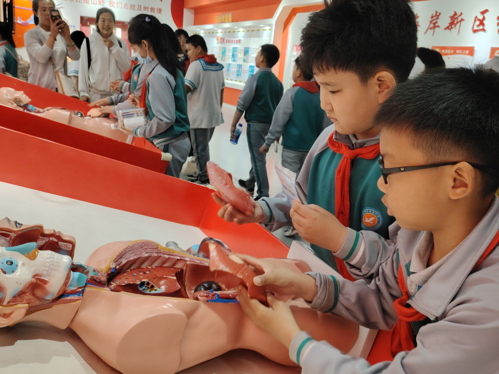 紅十字應(yīng)急救護(hù)培訓(xùn)基地體驗(yàn)館 紅十字應(yīng)急救護(hù)培訓(xùn)基地體驗(yàn)館