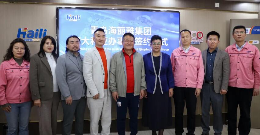 青島海麗雅集團(tuán)